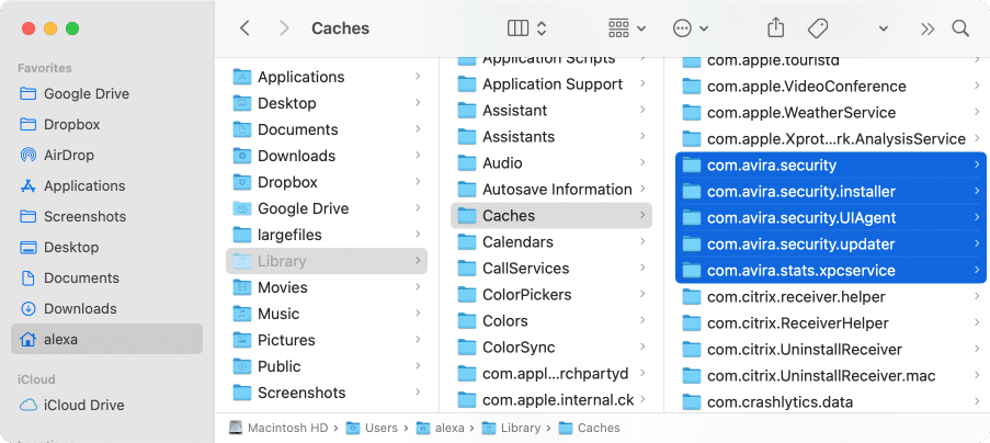 Library folder showing the Avira's support files