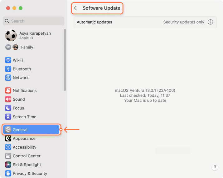 System update window in preferences