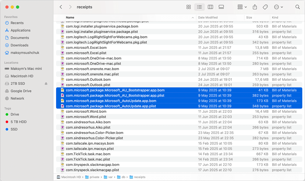 Microsot files found in /private/var/db/receipts