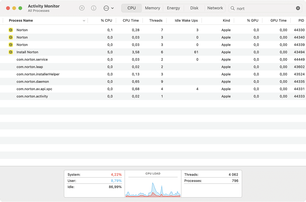 Norton processes in Activity Monitor