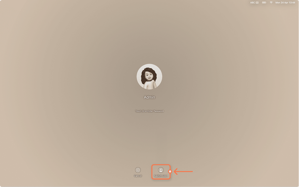 Mac login window