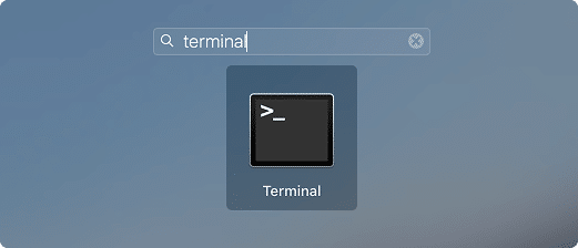 Terminal icon in Launchpad