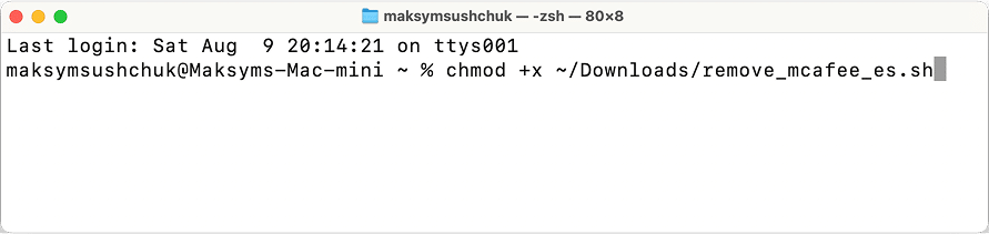 Entering the command to make the script executable