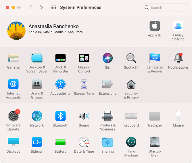 System Preferences window