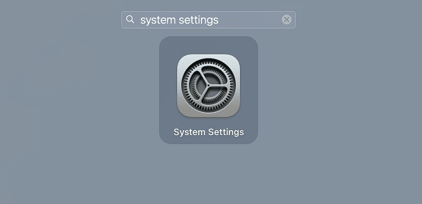 System Settings in the Launchpad