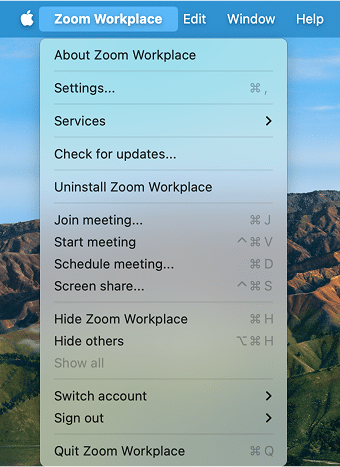 Zoom menu dropdown