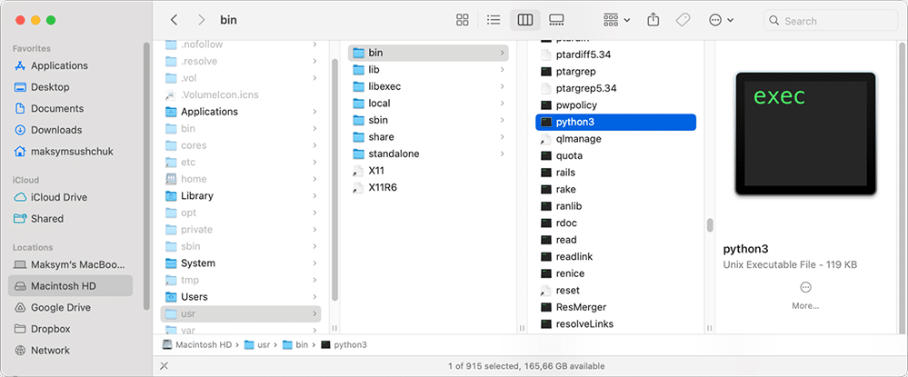 the system's python3 file in /usr/bin
