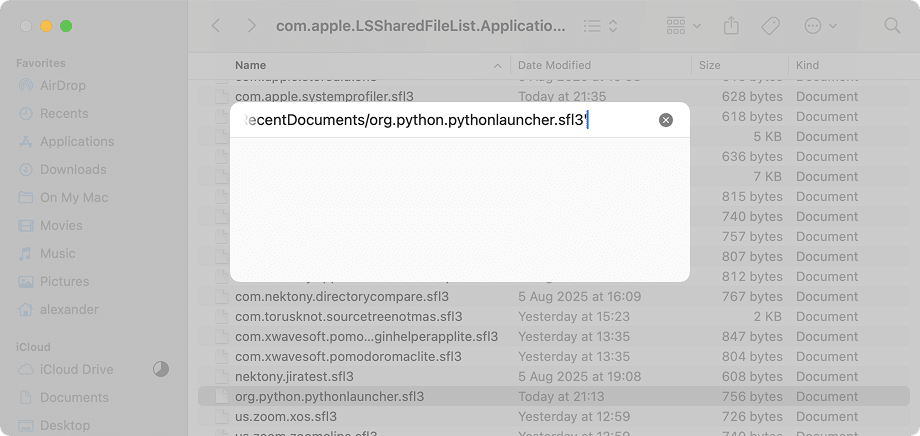 The Go to folder dialogue with the pasted path