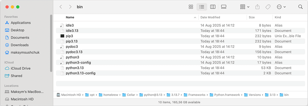 the user's python3 files installed via Homebrew