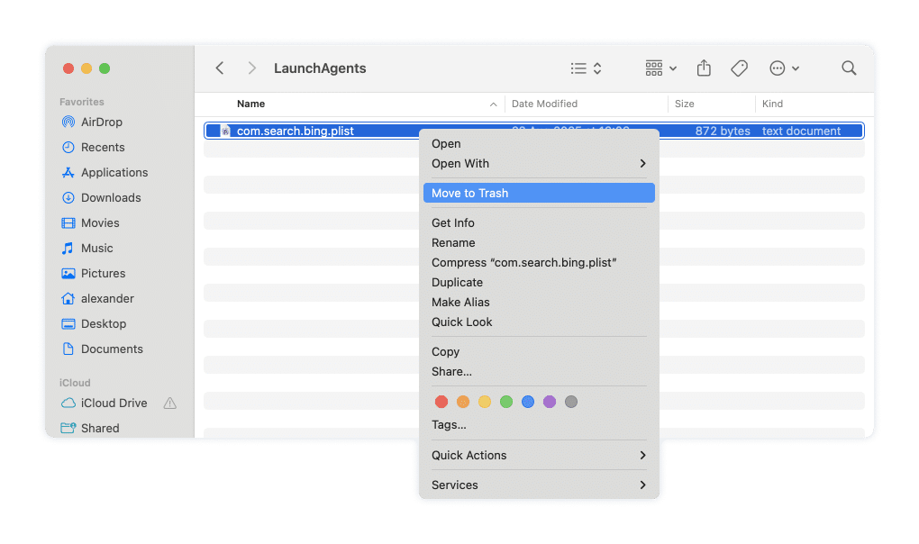 a Bing-related preferences file in the LaunchAgents folder