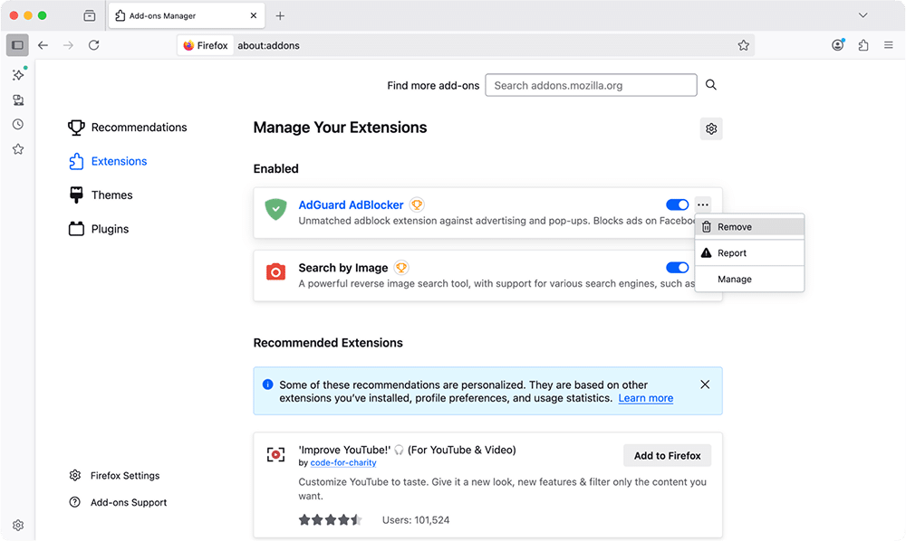 Firefox extensions window