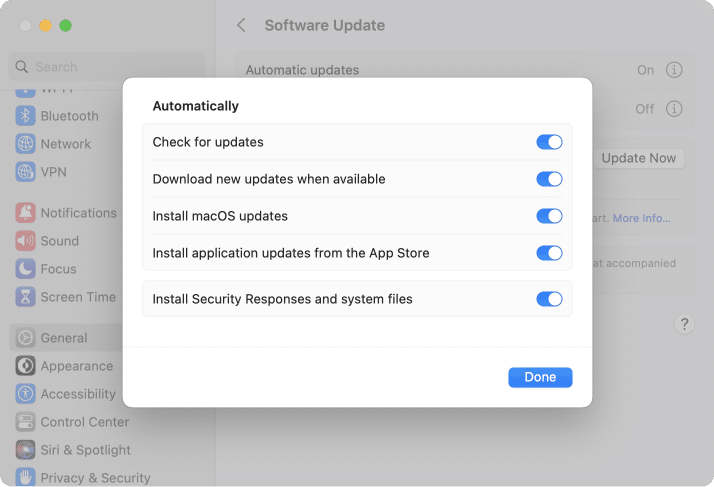 Window showing automatical options for Mac software update