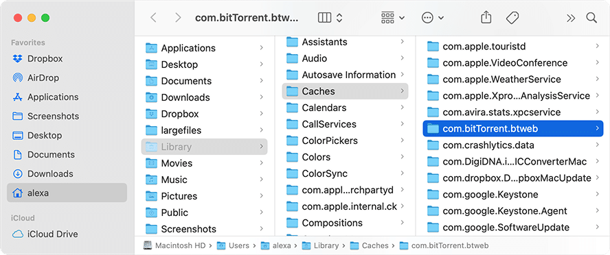 Library folder showing BitTorrent support files