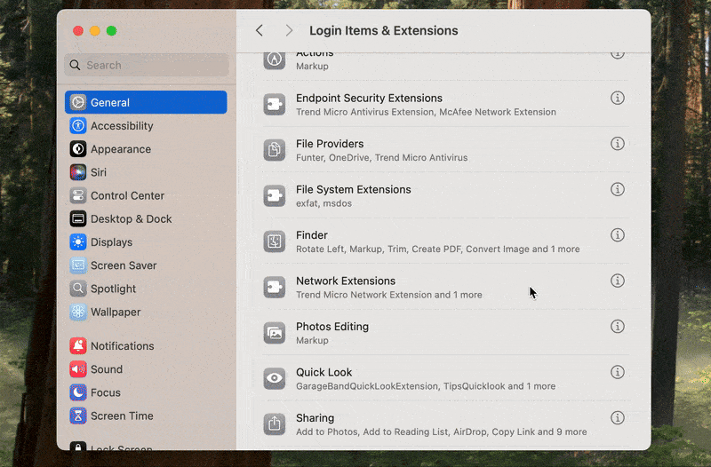 removing the Little Snitch system extension fom a Mac