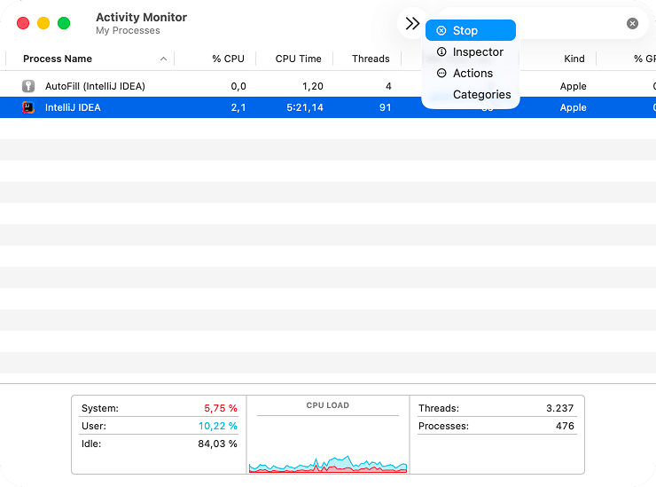 IntelliJ processes in Activity Monitor