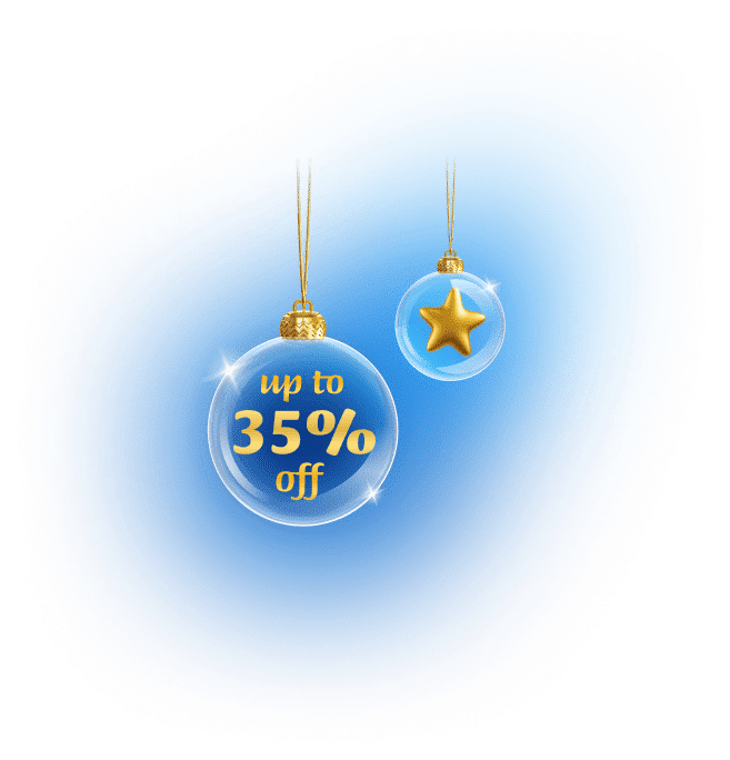 christmas sale product label