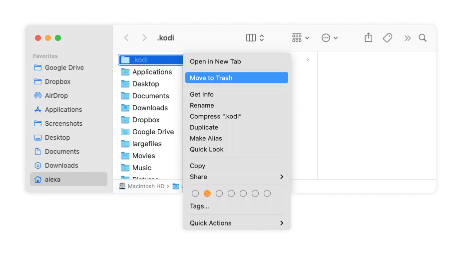Remove the Kodi folder