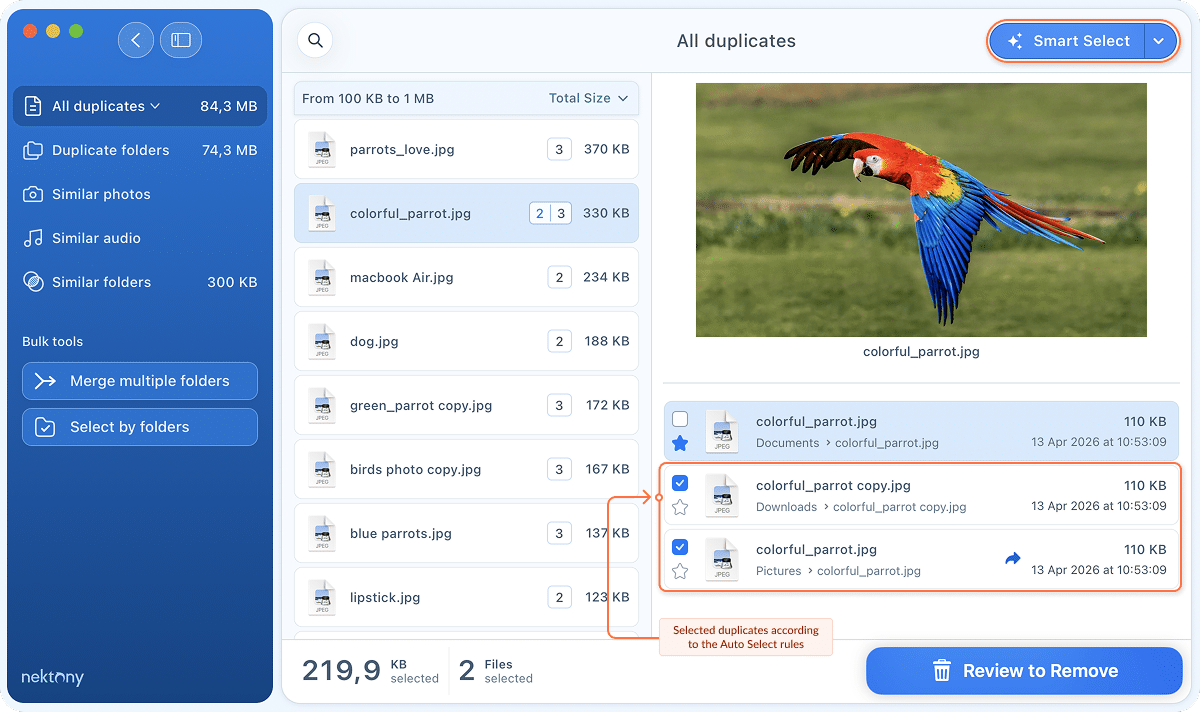 Duplicate File Finder showing selected files according to the auto select rules