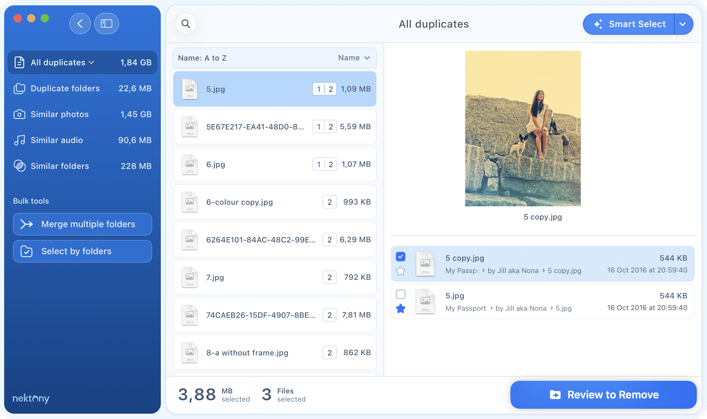 See duplicate files Duplicate File finder showing scan results