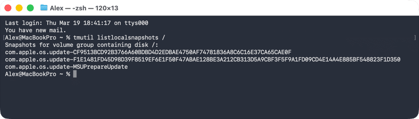 Terminal showing tmutil listlocalsnapshots output with three snapshots