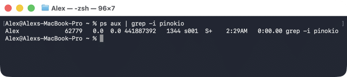 Check for remaining Pinokio processes in Terminal Terminal showing output for Pinokio processes